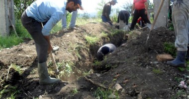 Stire din Economie : Lucrătorii slab calificați, cei mai afectați de criza economică
