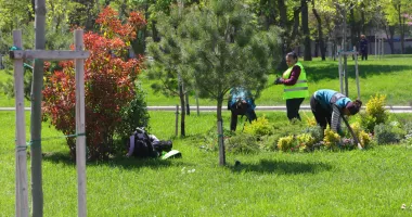 Parcul Tăbăcărie prinde viață. Arbori noi și gazon refăcut în zona Cetate–Zodiac - 3