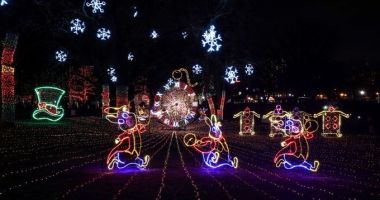Stire din Actualitate : Festivalul luminițelor de Crăciun a revenit la Chicago