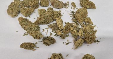 Tânăr depistat cu muguri de canabis asupra lui, în centrul vechi al Constanței - 2