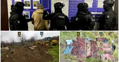 Stire din Actualitate : Caz cutremurător. Fermier acuzat că ar fi ucis oameni și le-ar fi aruncat trupurile la porci