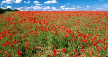 Cum va fi vremea sâmbătă și duminică, pe litoral