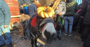 Mii de credincioși, prezenți la Sărbătoarea Bobotezei, la Constanța - 8