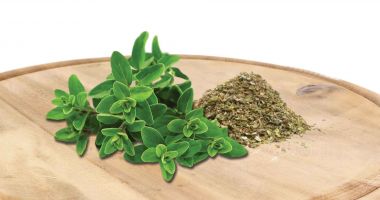 Stire din Sănătate : Maghiranul, recomandat pentru proprietățile sale gastroprotectoare și antioxidante
