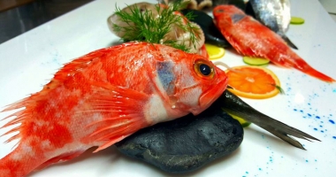 Măiestrie culinară și culoare la Festivalul Peștelui și al Fructelor de Mare - 2