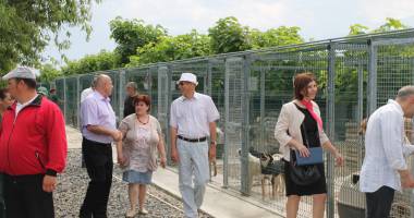 Mai mulți primari din județul Constanța  s-au reunit pentru  a dezbate situația câinilor fără stăpâni - 2