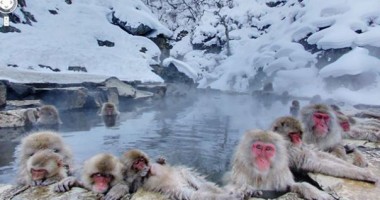 Top 10 cele mai ciudate IMAGINI surprinse de Google Street View | GALERIE FOTO - 5