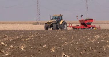 Stire din Economie : Salarii mai mari pentru sectorul agricol şi în industria alimentară