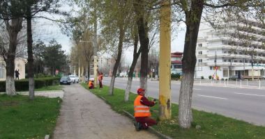 GALERIE FOTO / Curățenie de primăvară în stațiunea Mamaia! Se asfaltează și se vopsesc stâlpii - 2