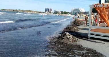 Mamaia, aproape "goală" la început de sezon - 8