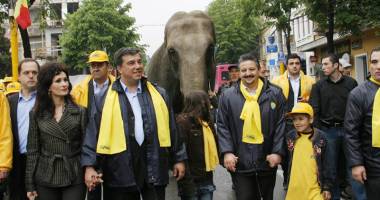 Stire din Politică-Administrație : Un elefant  și o... Manea