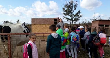 Ziua Educației, marcată și de Școala nr. 5 "Gala Galaction" - 2
