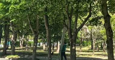 Stire din Politică-Administrație : Administraţia locală din Mangalia menţine localitatea în topul oraşelor verzi