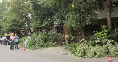 FOTO. Manuela Mitrea "a nășit" o nouă trecere de pietoni - 3