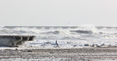 Imagini inedite/ Vezi aici cum arată plaja și digurile din Mamaia - 2