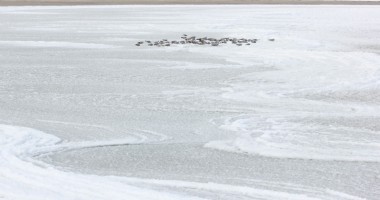 Constanța sub COD PORTOCALIU / A înghețat Marea Neagră - 3