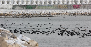 Imagini INCREDIBILE / Marea Neagră a început să înghețe - 5