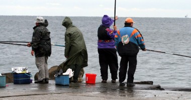 Marea Neagră revine la viață. Specii dispărute de pești repopulează marea - 2