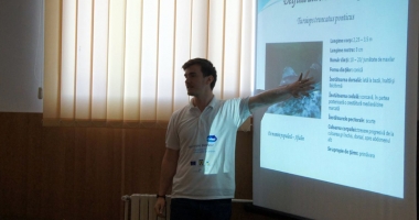 Stire din Social : Școala, cu Mare Nostrum, este mereu altfel