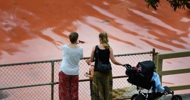 Galerie foto/ Marea de sânge din Australia - 4