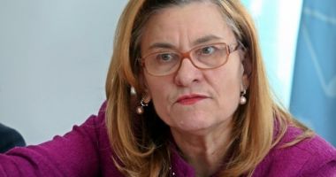 Stire din Social : Maria Grapini: Dacă nu susținem familia tradițională, "nu pot apărea copiii"