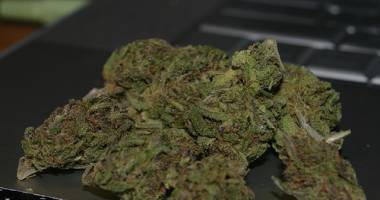 Etnobotanice și marijuana la tot pasul în Constanța - 2