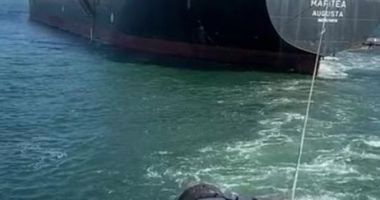 Stire din Economie : Marinarii de pe remorcherele companiei Coremar au prevenit blocarea portului Midia