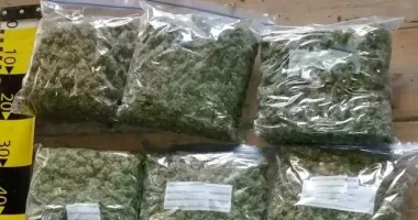 Stire din Eveniment : Percheziții în Timiș, în dosarul crimei de la Cenei. Au fost confiscate cantități mari de canabis și cristal