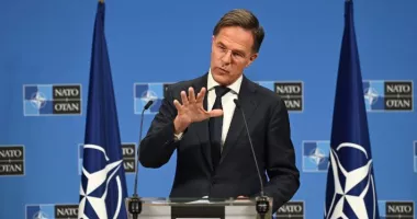 Mark Rutte: „NATO va anunța la summitul din Turcia contracte de apărare de miliarde de dolari”