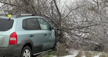 Accident grav cu două victime. Un autoturism a intrat într-un pom - 2