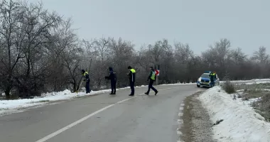 Accident grav cu două victime. Un autoturism a intrat într-un pom - 3