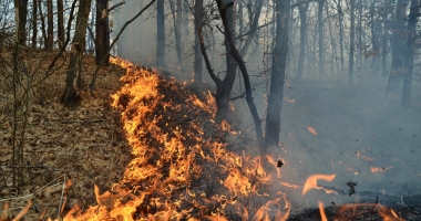 Avertisment ISU. Nu mai incendiați terenurile! - 2