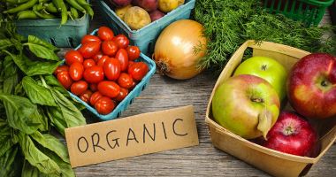 Stire din Economie : Măsuri pentru extinderea agriculturii ecologice