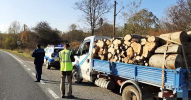 Stire din Eveniment : Trei bărbaţi, identificaţi cu material lemnos, fără documente de provenienţă