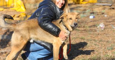 Stire din Social : Abandonat și legat de un gard, Max a primit o nouă şansă la viaţă