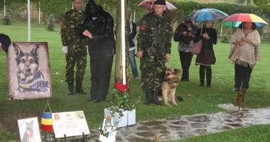 Galerie foto. A MURIT MAX, CÂINELE EROU al Armatei Române - 9