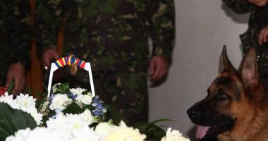 Galerie foto. A MURIT MAX, CÂINELE EROU al Armatei Române - 4
