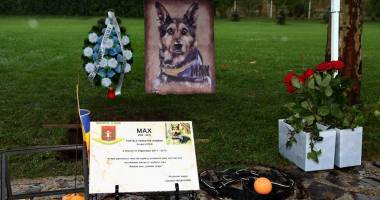 Galerie foto. A MURIT MAX, CÂINELE EROU al Armatei Române - 5