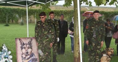 Galerie foto. A MURIT MAX, CÂINELE EROU al Armatei Române - 8
