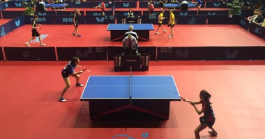 Stire din Sport : Medalii pentru jucătorii constănțeni, la Campionatul European