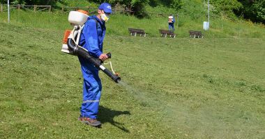 Stire din Politică-Administrație : Primăria Medgidia începe campania de dezinsecţie în municipiu