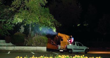 Stire din Politică-Administrație : O nouă etapă de dezinsecție în municipiul Medgidia