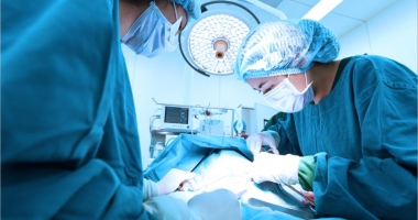 Medicii nu vor mai pleca din țară