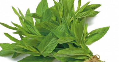 Stire din Sănătate : Porția de natură