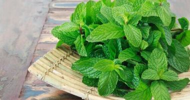 Menta este o sursă bună de antioxidanți
