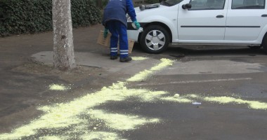 Mercurul de pe strada Soveja, acoperit cu praf de sulf | GALERIE FOTO - 3