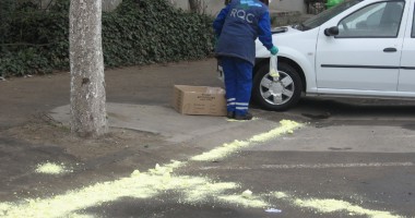 PERICOL DE EXPLOZIE ÎN CONSTANȚA / Mercur împrăștiat pe strada Soveja GALERIE FOTO - 4