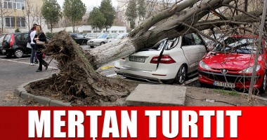 Stire din Eveniment : IMAGINI INEDITE LA CONSTANȚA. Vezi cum arată un Mercedes ML cu un copac înfipt în el!