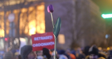 Galerie foto. Românul s-a născut poet! Mesaje pline de inteligență și ironie, la proteste - 3