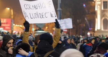 Galerie foto. Românul s-a născut poet! Mesaje pline de inteligență și ironie, la proteste - 11